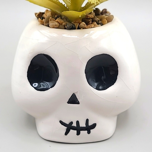 Skull Planter with Faux Plant - Picture 5 of 6